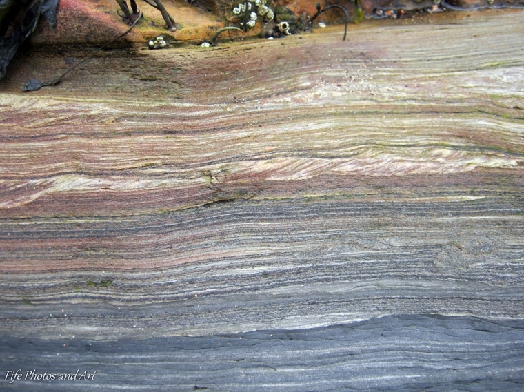 Textures and colours of 320 million year old rock from Ravenscraig Beach, Kirkcaldy