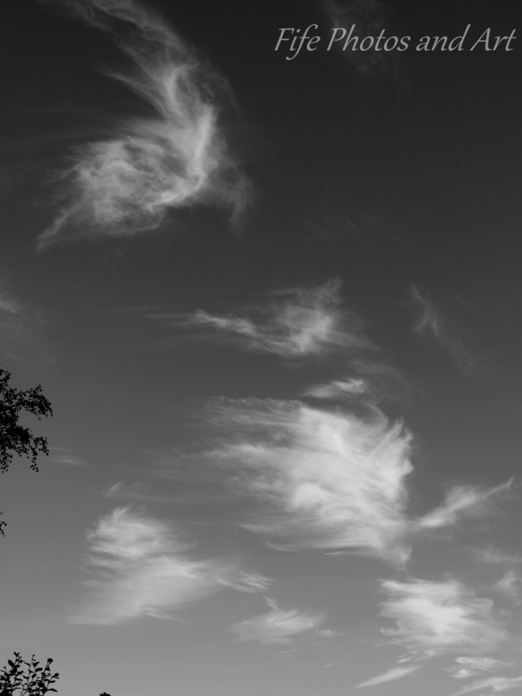 Cirrus cloud above Glenrothes (1)