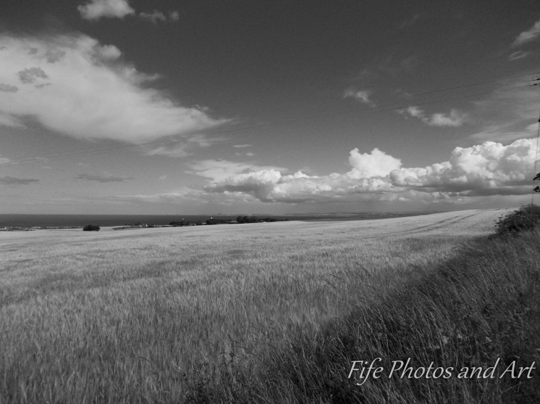 Clouds and Wheat, near Kinghorn, Fife