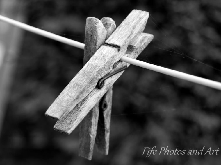 Two wooden pegs on a washing line - Black and White version