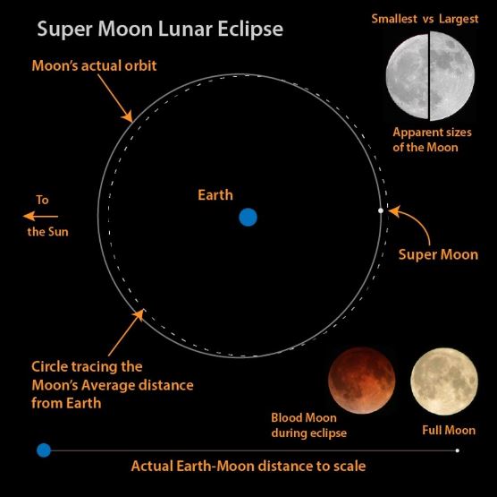 Supermoon Infographic from Forbes website